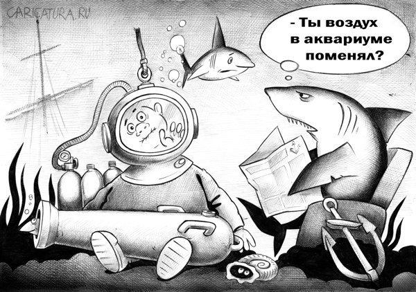 Файл:Воздух в аквариуме.jpg