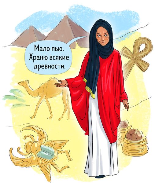 Файл:Египет.jpg