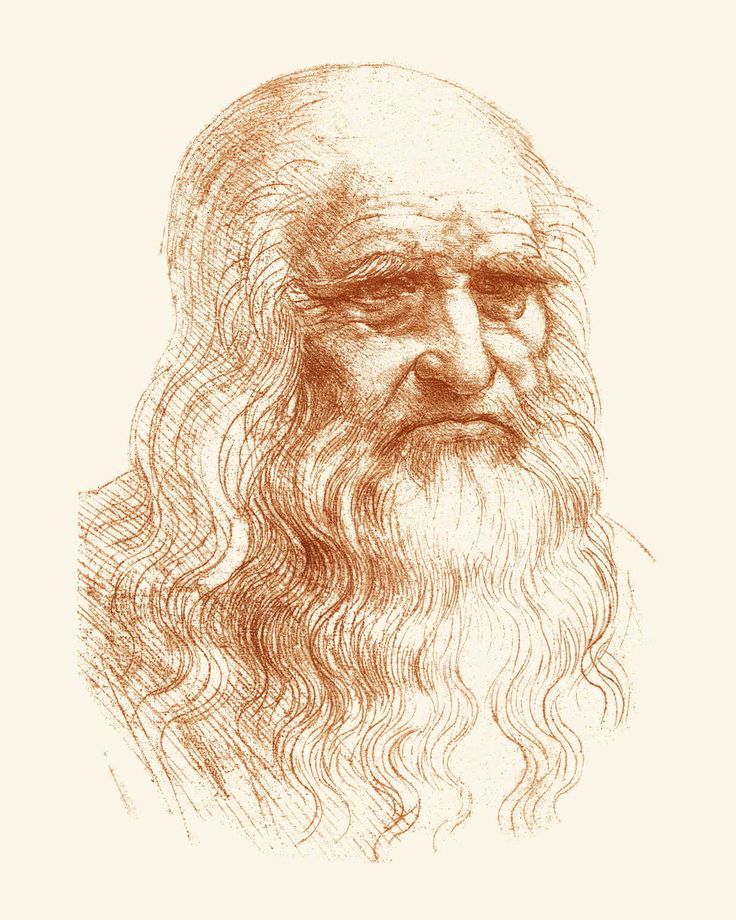 Леонардо да Винчи туринский автопортрет.jpg