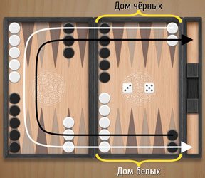 Направление хода коротких нард.jpg