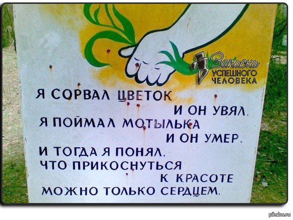 Файл:Про сорваннные цветы.jpg