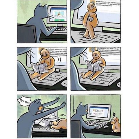 Файл:Человек мешает котейке.jpg