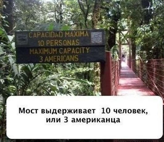 Файл:10чел.jpg