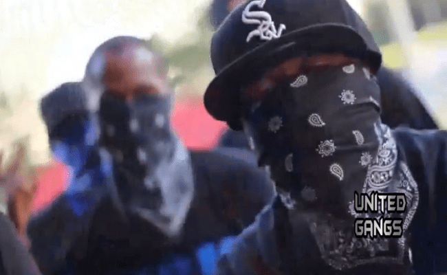 Файл:Black Disciples.png