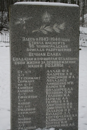 Файл:Br razr.jpg