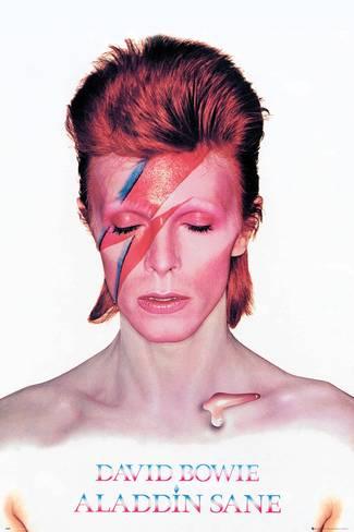 Файл:David-bowie-aladdin-sane.jpg