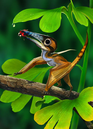 Файл:Pterodactylus2.jpg
