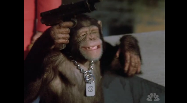 Файл:Quantumleap monkey.jpg