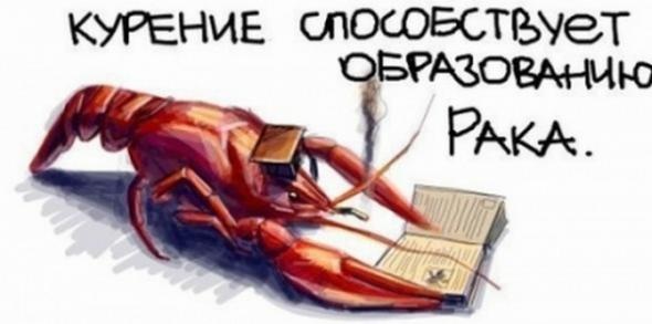 Файл:Rak kur.jpg