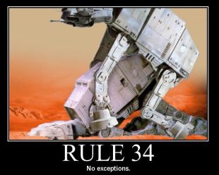 Файл:Rule34.jpg