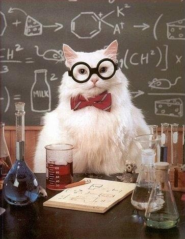 Файл:Sciencist-Cat.jpg