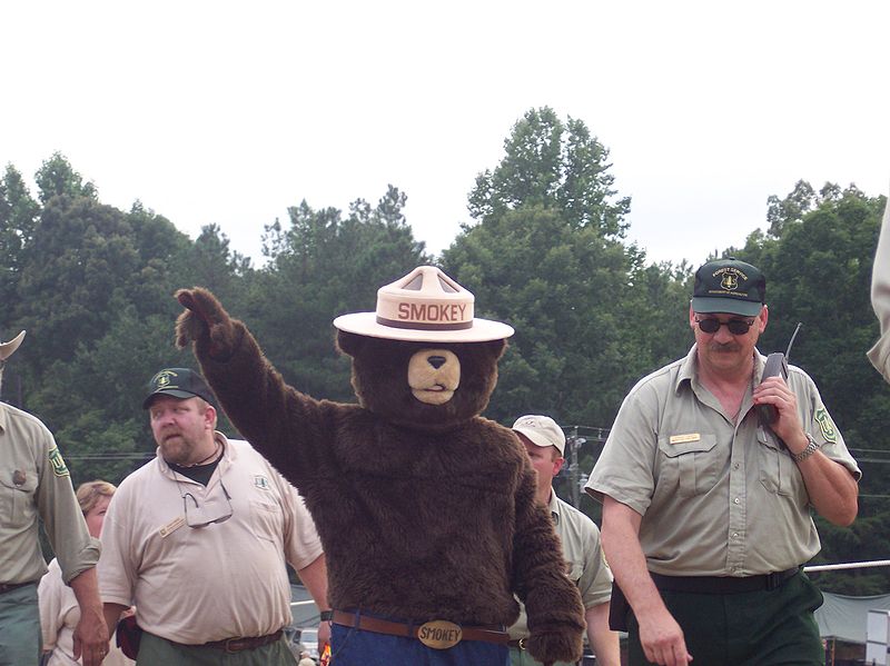 Файл:Smokeybear.jpeg