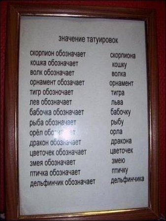 Файл:Tatu ko.jpg