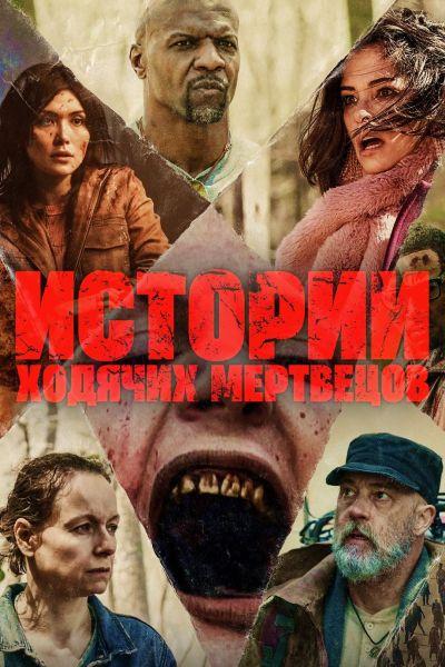 Файл:Истории Ходячих Мертвецов.jpg
