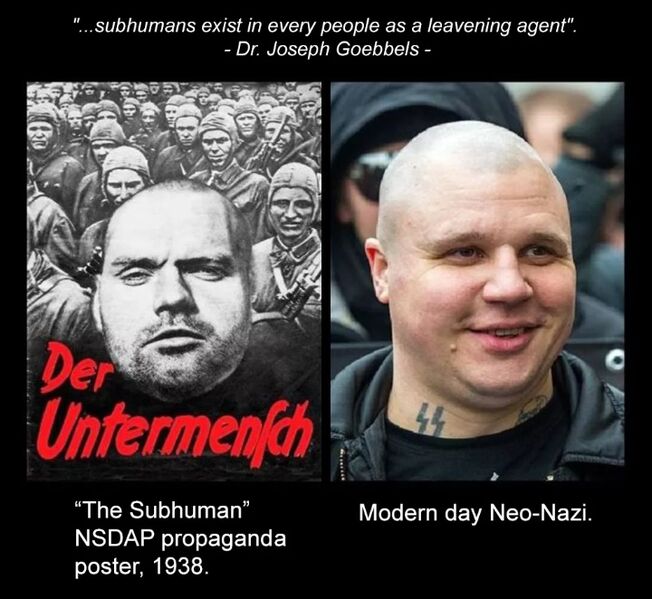 Файл:Неонацисты.jpg