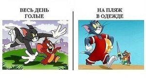 Том и Джерри голые.jpeg