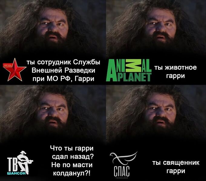 Файл:Ты волшебник, Гарри 2.jpg