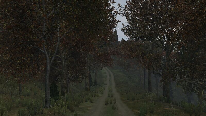 Файл:DayZЛеснаяДорога.jpg