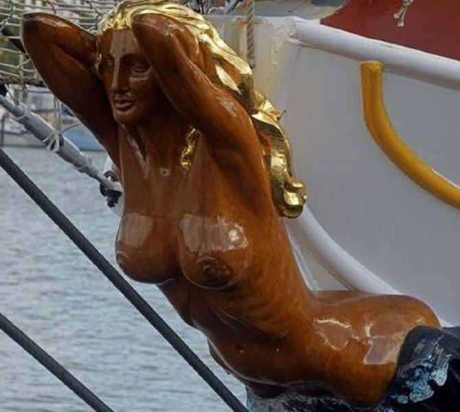 Файл:Galjoenfigure.jpg