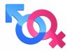 Gender.jpg