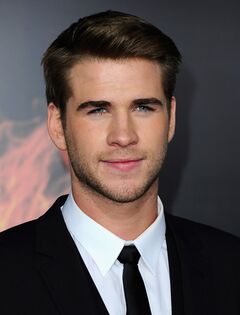 Liam Hemsworth.jpg