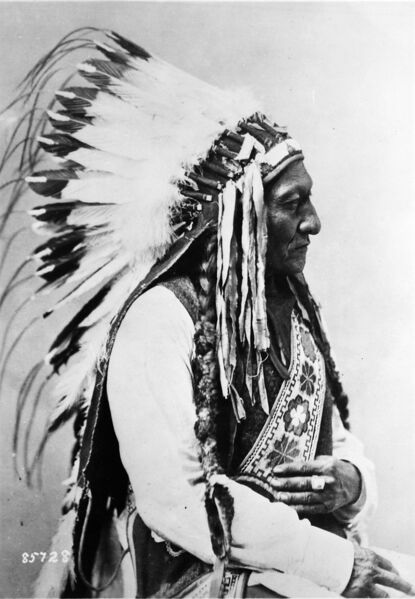 Файл:SittingBull.jpg