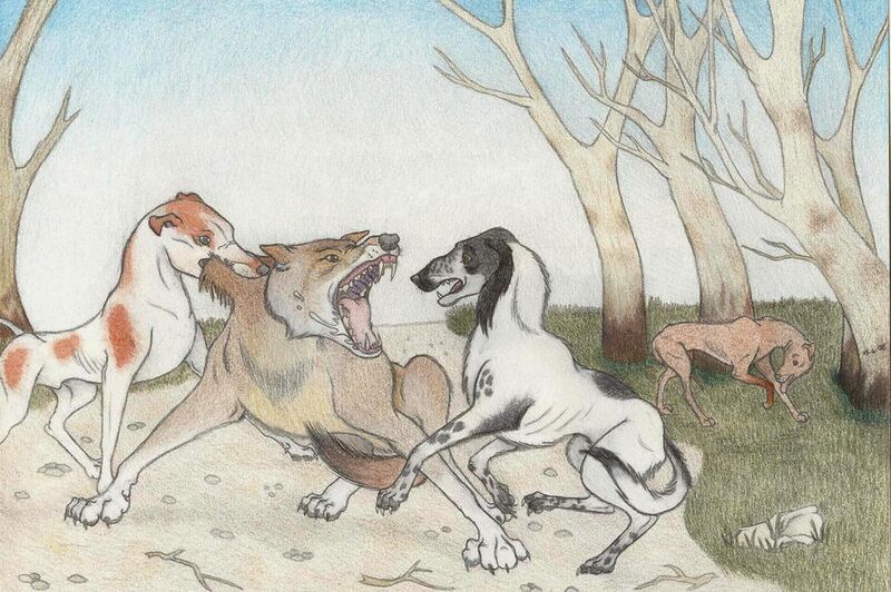 Файл:Wolf hunt with dogs.jpg
